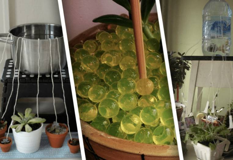 Автополив для комнатных цветов своими руками: как работает, как сделать