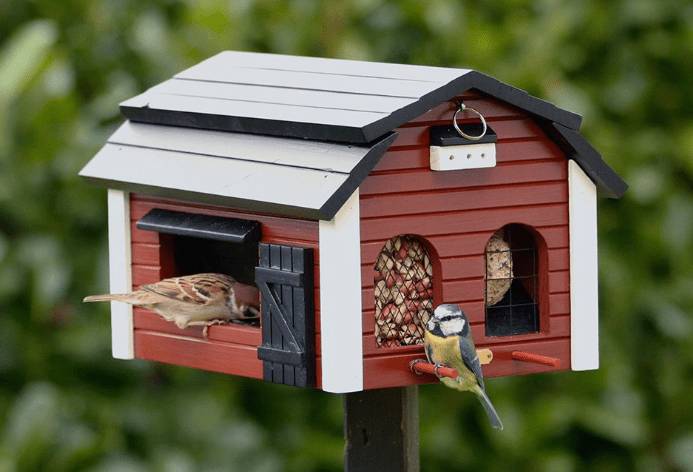Как сделать синичник своими руками: чертежи, фото, размеры