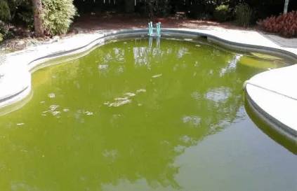 Песочный фильтр для бассейна своими руками: схема, как сделать, как работает, видео