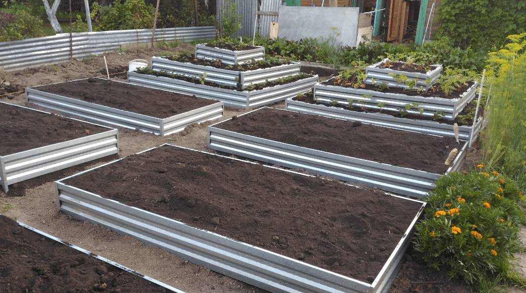 Грядки из профнастила своими руками пошагово: фото для начинающих, видео