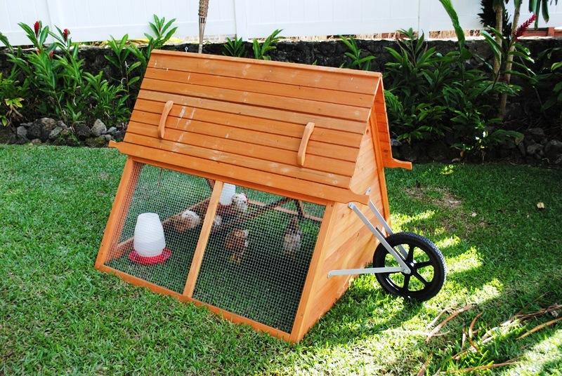 Как сделать переносной курятник своими руками
