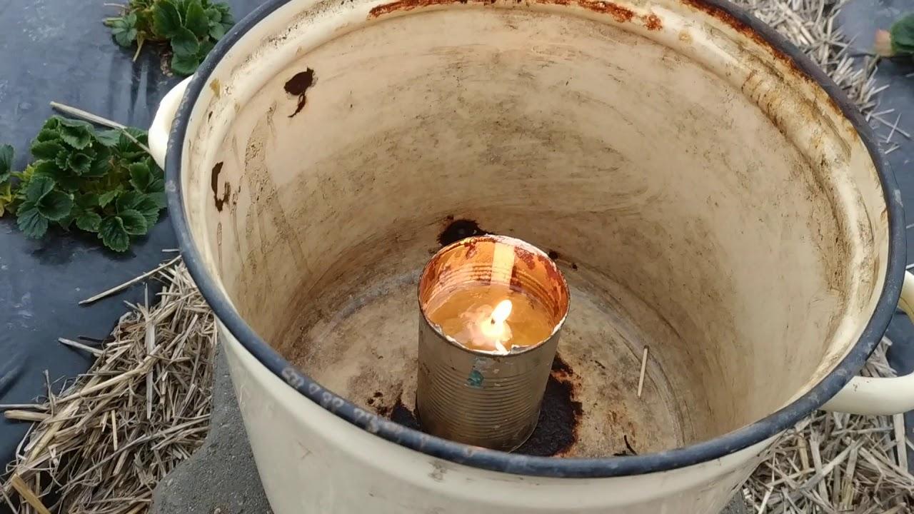 Обогрев теплицы свечкой и подсолнечным маслом своими руками: видео, отзывы