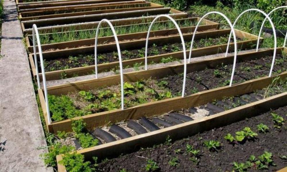 Теплица из стеклопластиковой арматуры своими руками: чертежи, размеры, как сделать