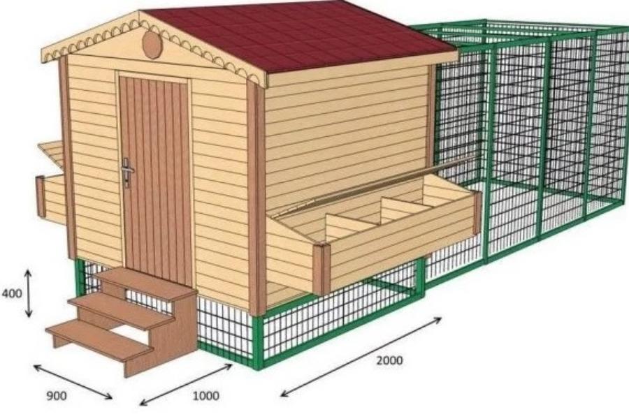 Как построить теплый зимний курятник на 20 кур