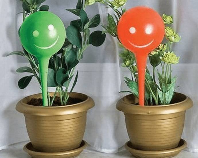 Автополив для комнатных цветов своими руками: как работает, как сделать