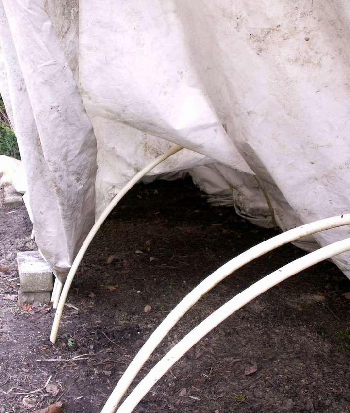 Теплица своими руками из подручных материалов: фото, пошагово, маленькая, видео