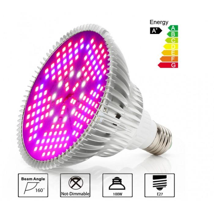 Какие лампы лучше выбрать для подсветки рассады