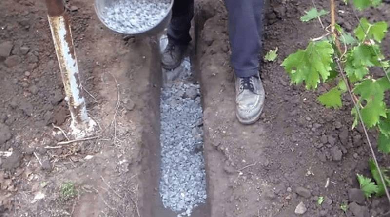 Автоматический полив в теплице: как сделать своими руками, фото, видео