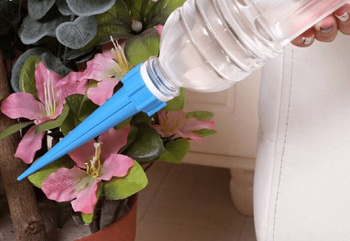 Автополив для комнатных цветов своими руками: как работает, как сделать