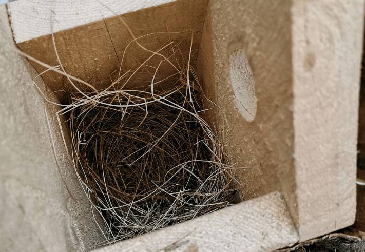 Как сделать синичник своими руками: чертежи, фото, размеры