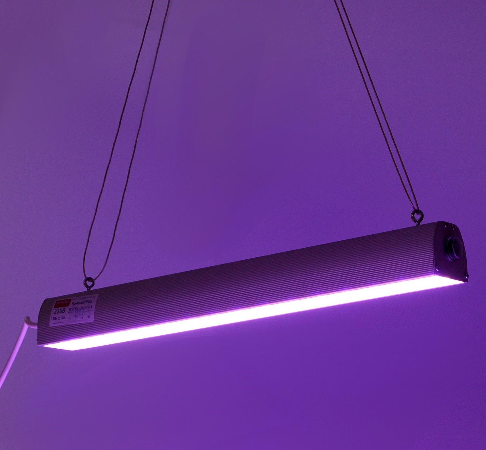 Какие лампы лучше выбрать для подсветки рассады