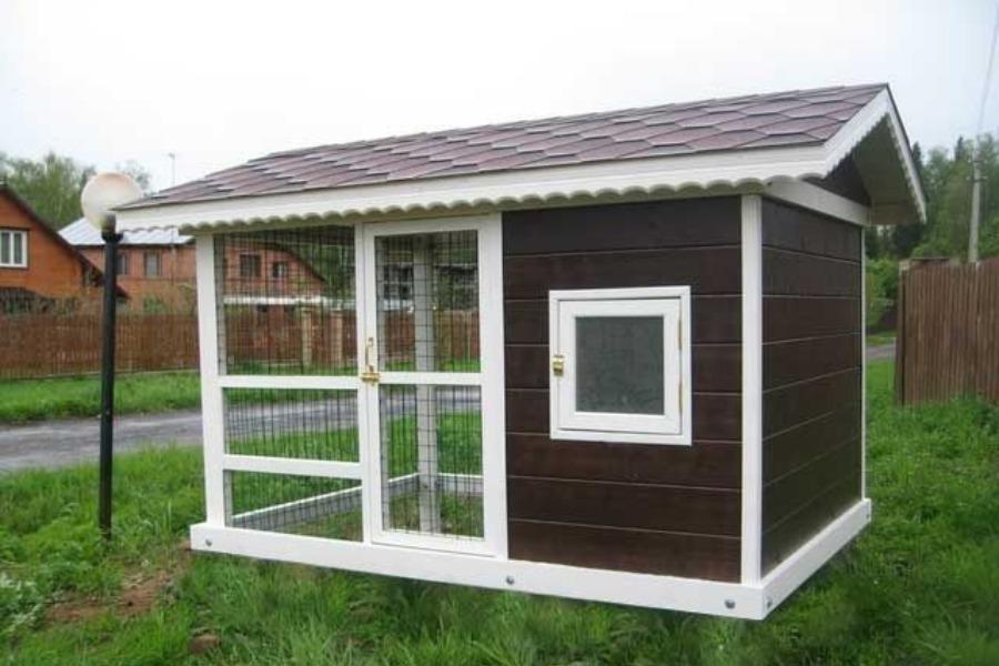 Как построить теплый зимний курятник на 20 кур