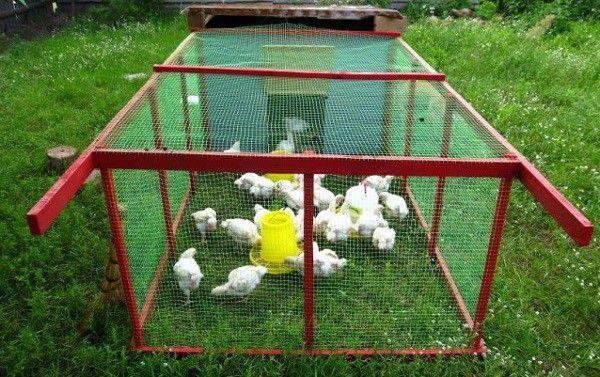 Как сделать переносной курятник своими руками