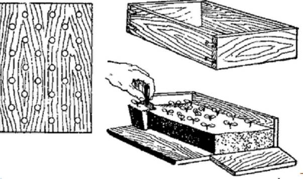 Как сделать ящики для рассады своими руками