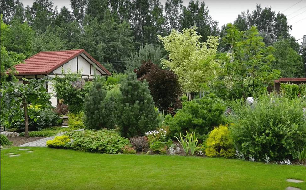 Как сделать навес над мангалом своими руками: из металла, из дерева, чертежи