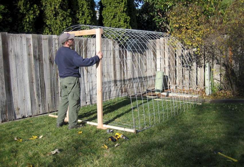 Теплица своими руками из подручных материалов: фото, пошагово, маленькая, видео