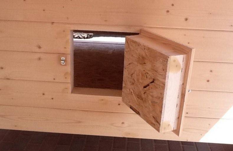 Как построить теплый зимний курятник на 20 кур