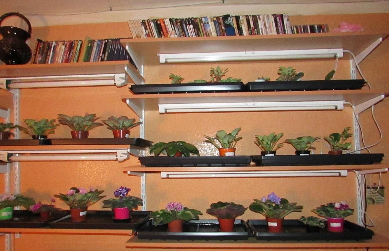 Стеллаж для цветов своими руками: фото, чертежи, из дерева, на подоконник