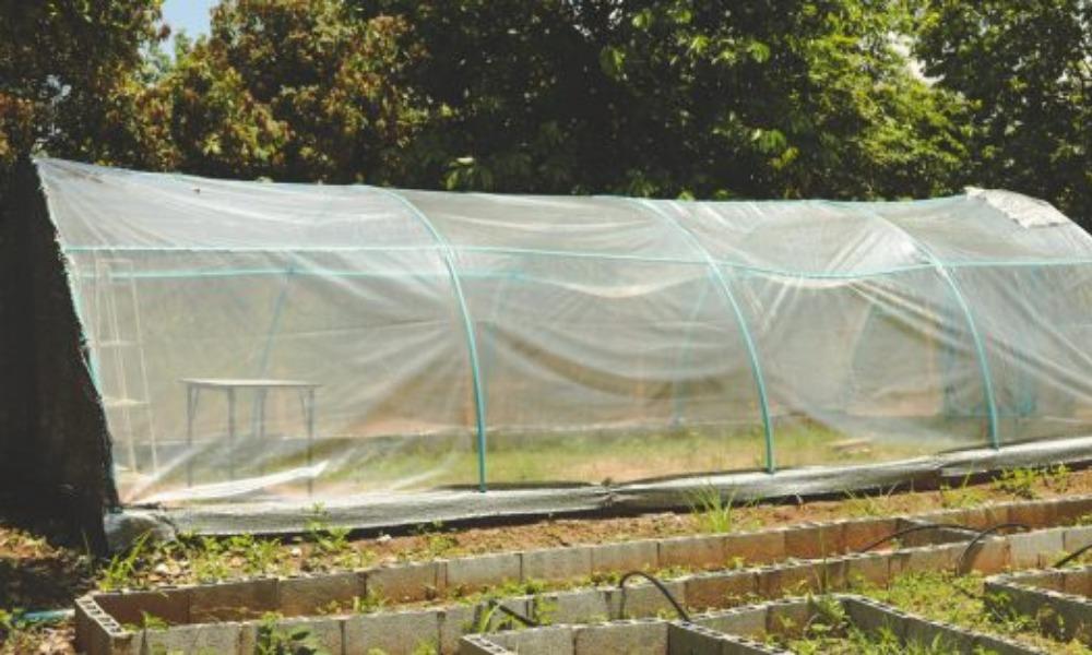 Теплица из стеклопластиковой арматуры своими руками: чертежи, размеры, как сделать