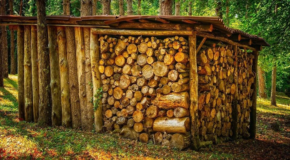 Заготовка дров на зиму: сколько нужно, количество, правила, процесс