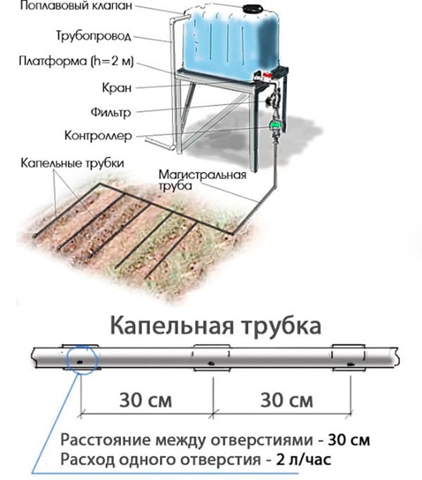 Автоматический полив в теплице: как сделать своими руками, фото, видео