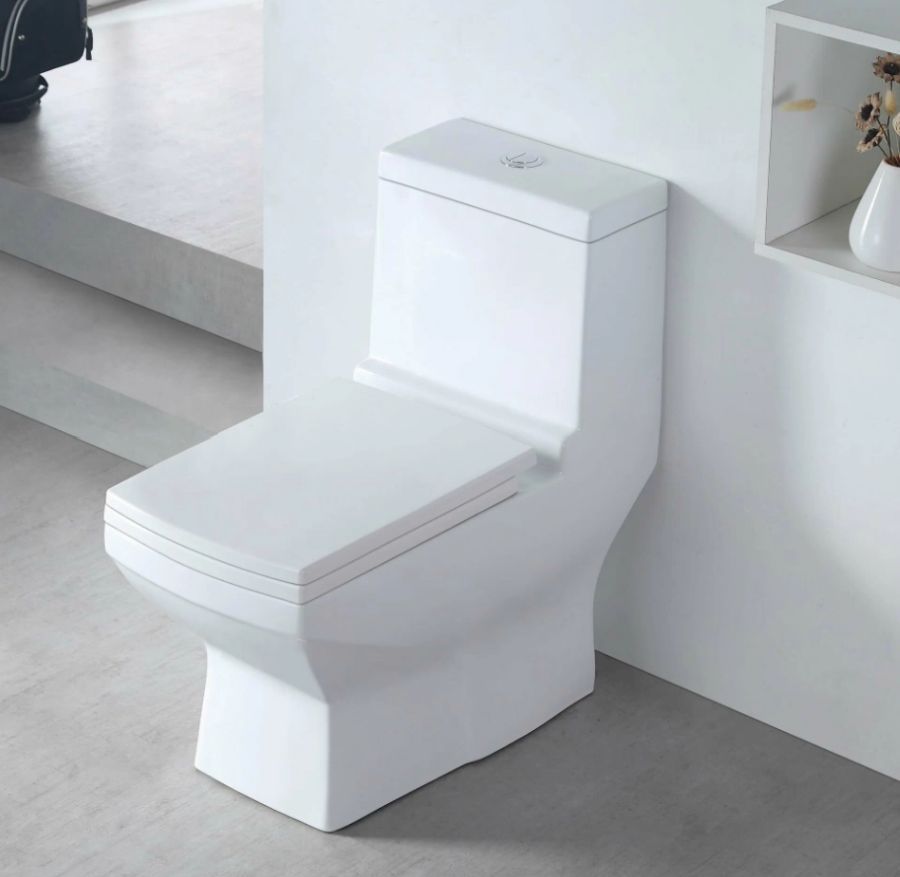 Унитаз-моноблок: установка, какой лучше, как крепится, подключение, фото