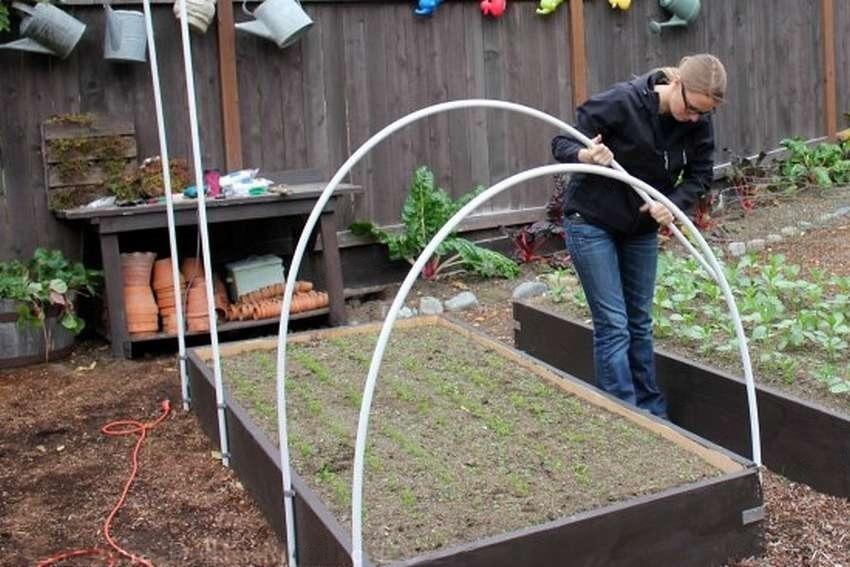 Теплица своими руками из подручных материалов: фото, пошагово, маленькая, видео