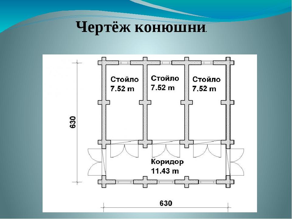 Как построить конюшню для лошадей своими руками