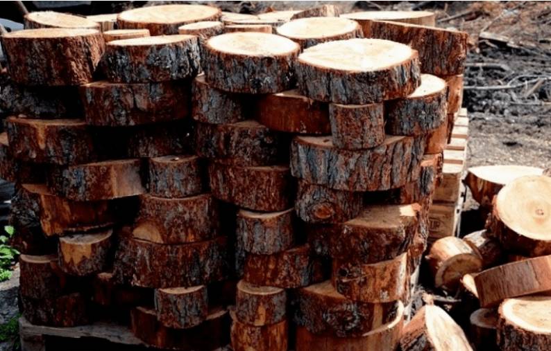 Как сделать садовую дорожку из спилов дерева