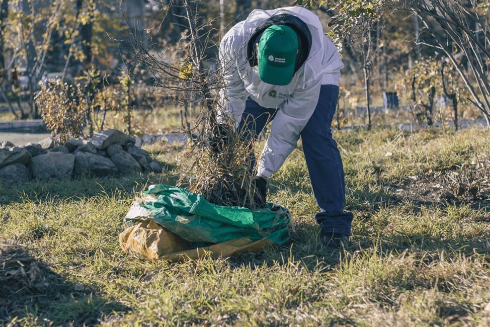 Как сделать навес над мангалом своими руками: из металла, из дерева, чертежи