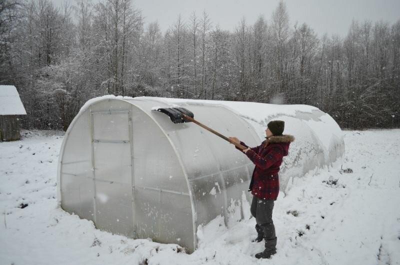 Чем счищать снег с теплицы из поликарбоната