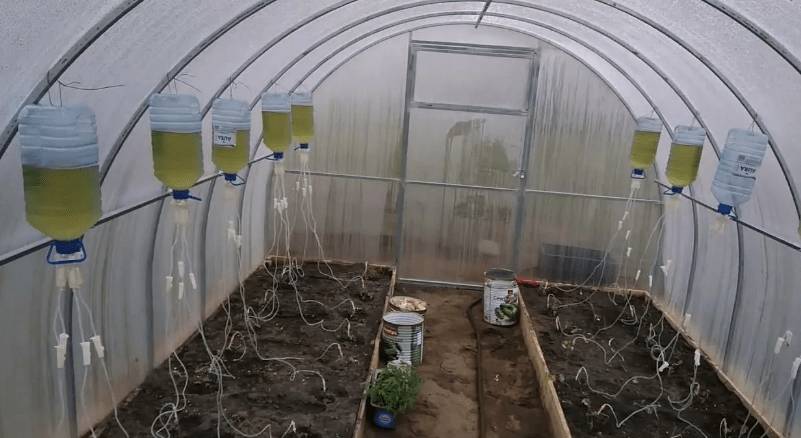 Как сделать зимнюю теплицу своими руками из поликарбоната