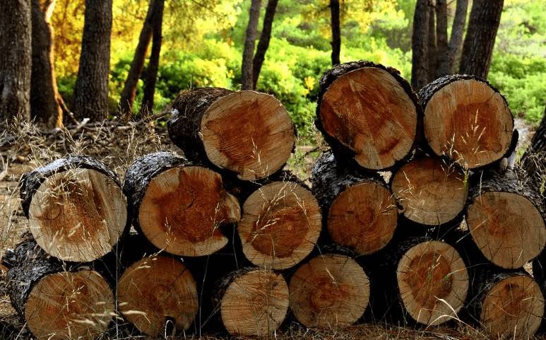 Почему дым из камина идет в комнату