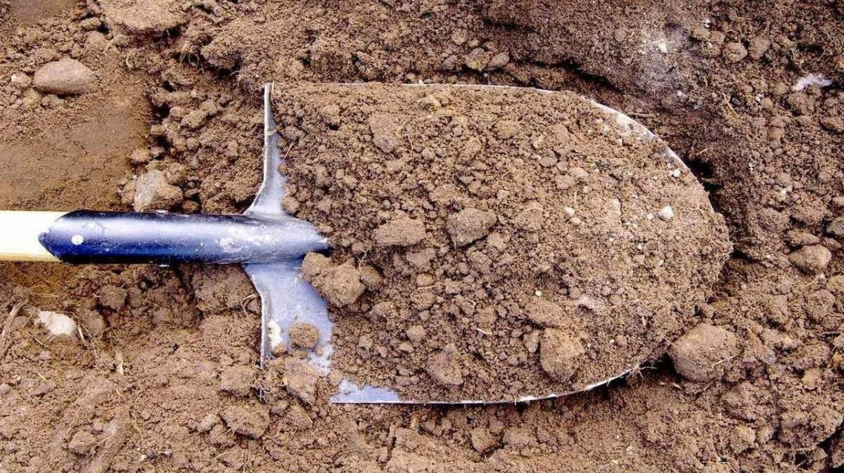 Заливка катка своими руками во дворе: технология, инструкция