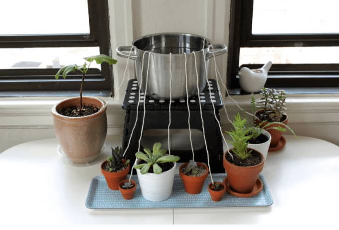 Автополив для комнатных цветов своими руками: как работает, как сделать
