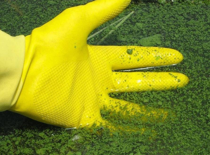 Какое средство или жидкость добавить в бассейн против цветения воды