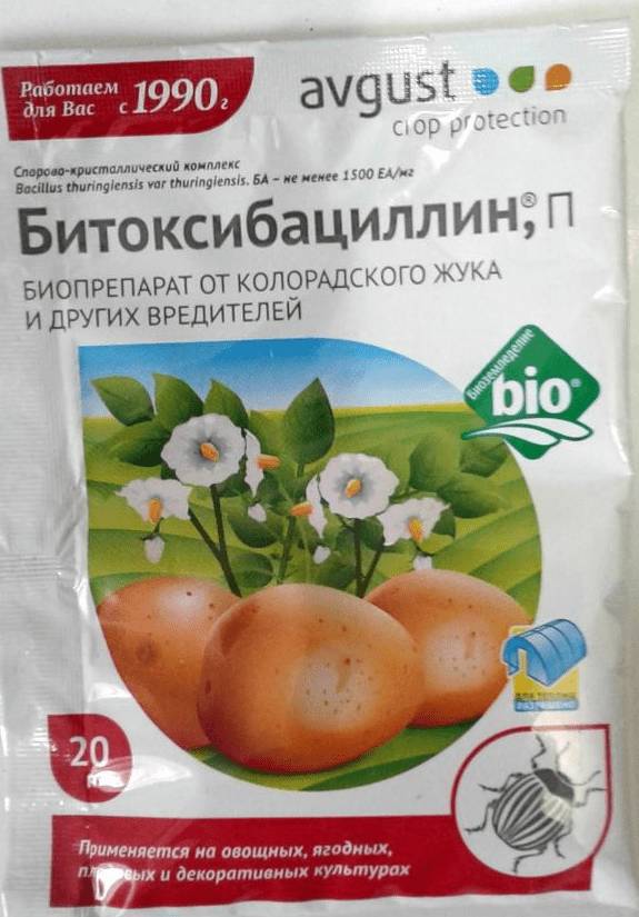 Чем и как обработать теплицу после сбора урожая осенью