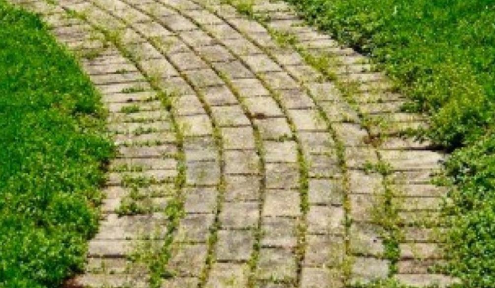 Как сделать дорожку из старого кирпича своими руками