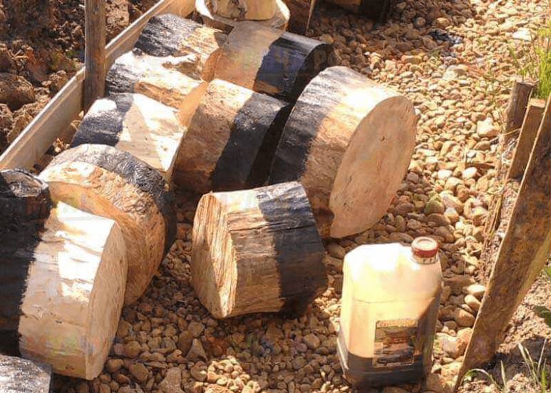 Как сделать садовую дорожку из спилов дерева