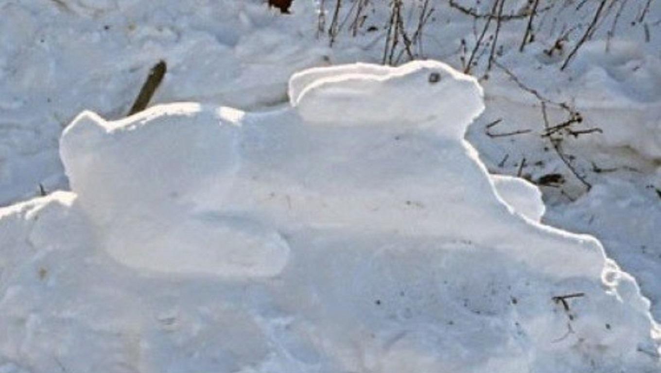 Как сделать фигуру зайца (кролика) из снега