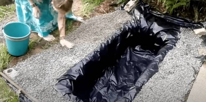 Как сделать пруд из старой ванны на даче своими руками