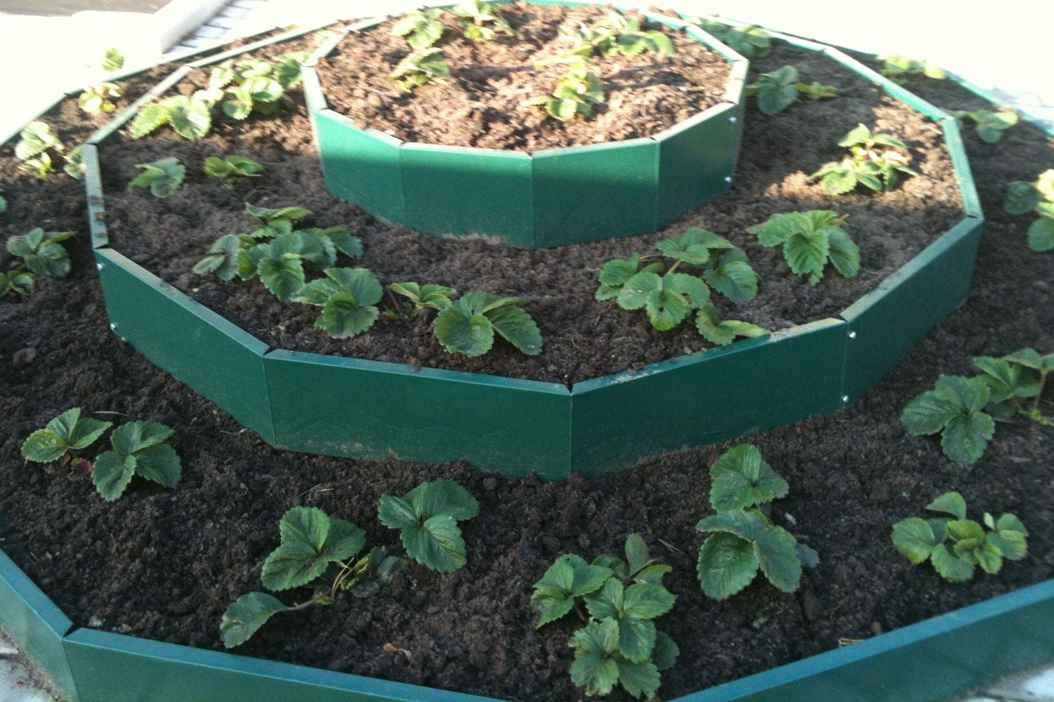 Металлические грядки: как устанавливать, как сделать своими руками, отзывы