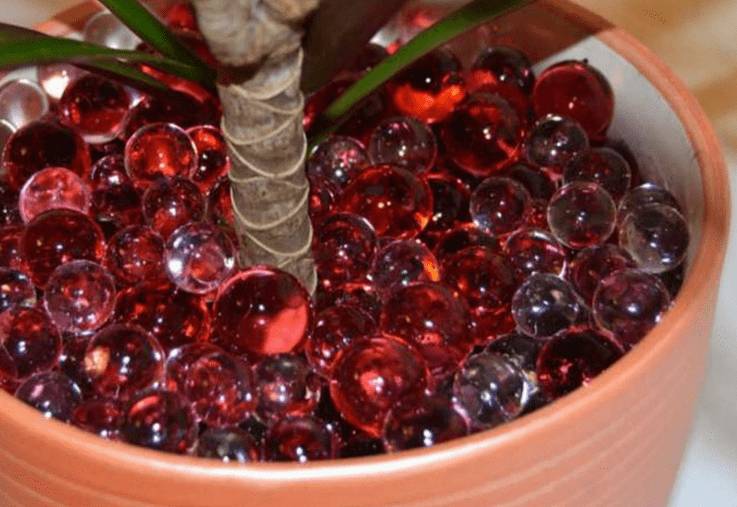 Автополив для комнатных цветов своими руками: как работает, как сделать