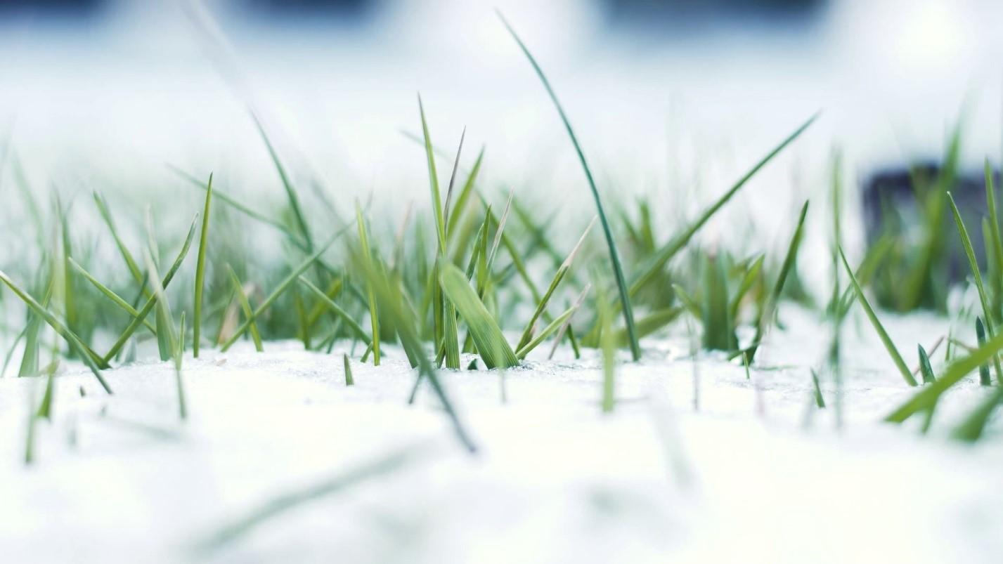 Как легко и быстро убрать снег во дворе