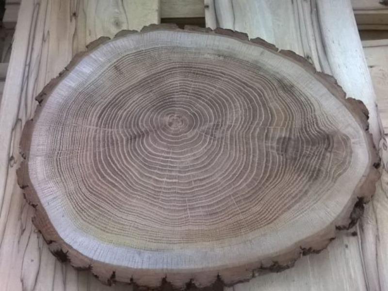 Столик из спила дерева своими руками: как сделать, фото