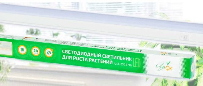 Какие лампы лучше выбрать для подсветки рассады