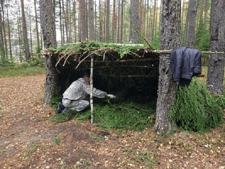 Как построить шалаш в лесу своими руками