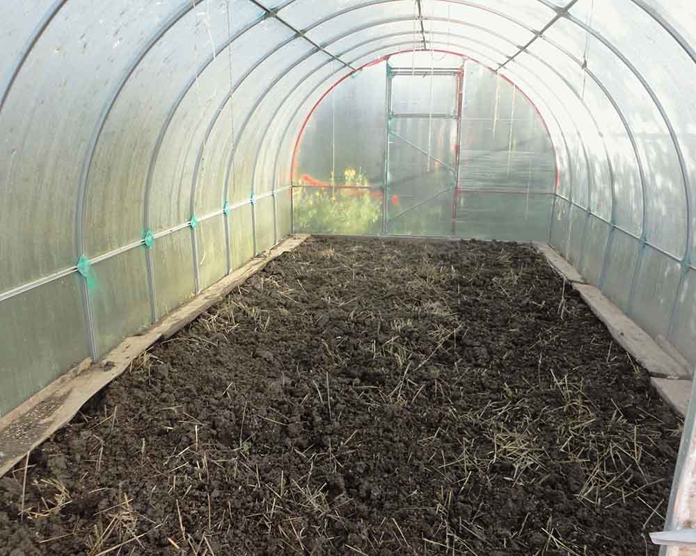 Чем и как обработать теплицу после сбора урожая осенью