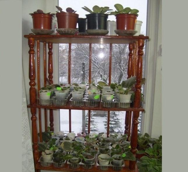 Стеллаж на подоконник для цветов своими руками