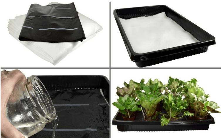 Автополив для комнатных цветов своими руками: как работает, как сделать